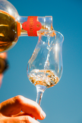 botella copa